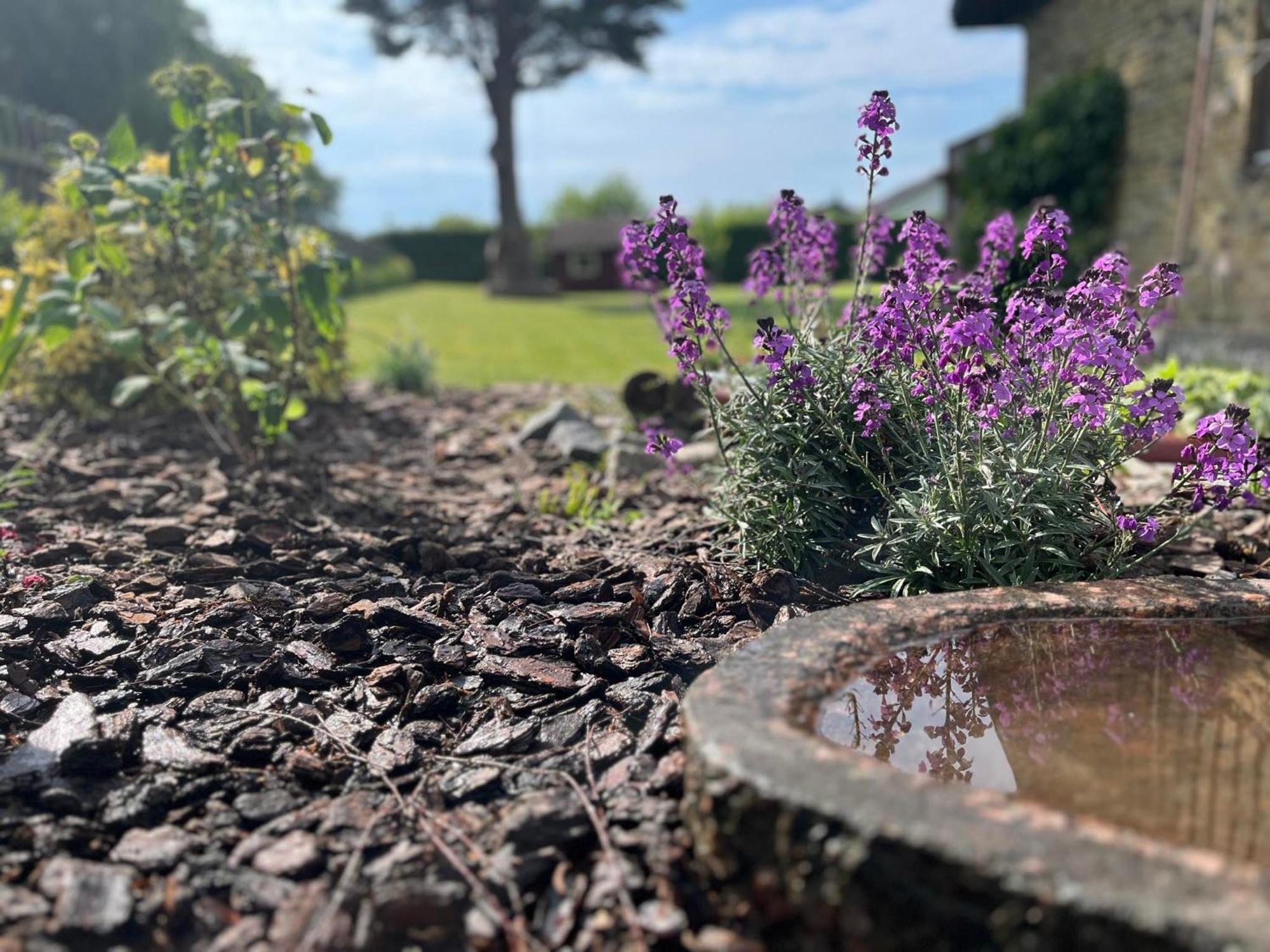 The Dream Villa Rødby エクステリア 写真
